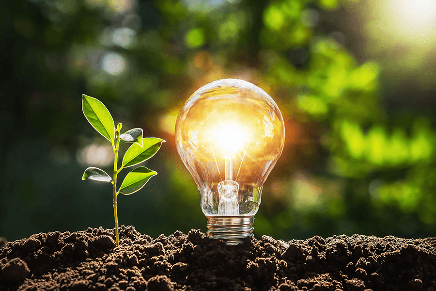 AdobeStock_308429705